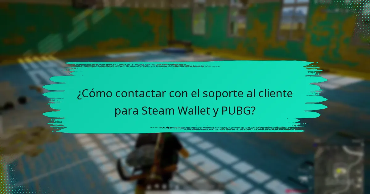 ¿Cómo solucionar problemas con Steam Wallet en PUBG?
