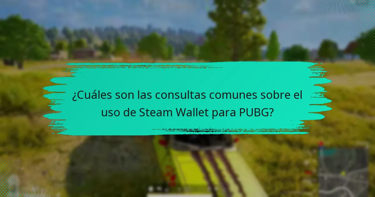 ¿Cuáles son las políticas sobre el uso de Steam Wallet para PUBG?
