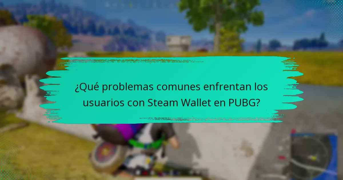¿Qué problemas comunes enfrentan los usuarios con Steam Wallet en PUBG?